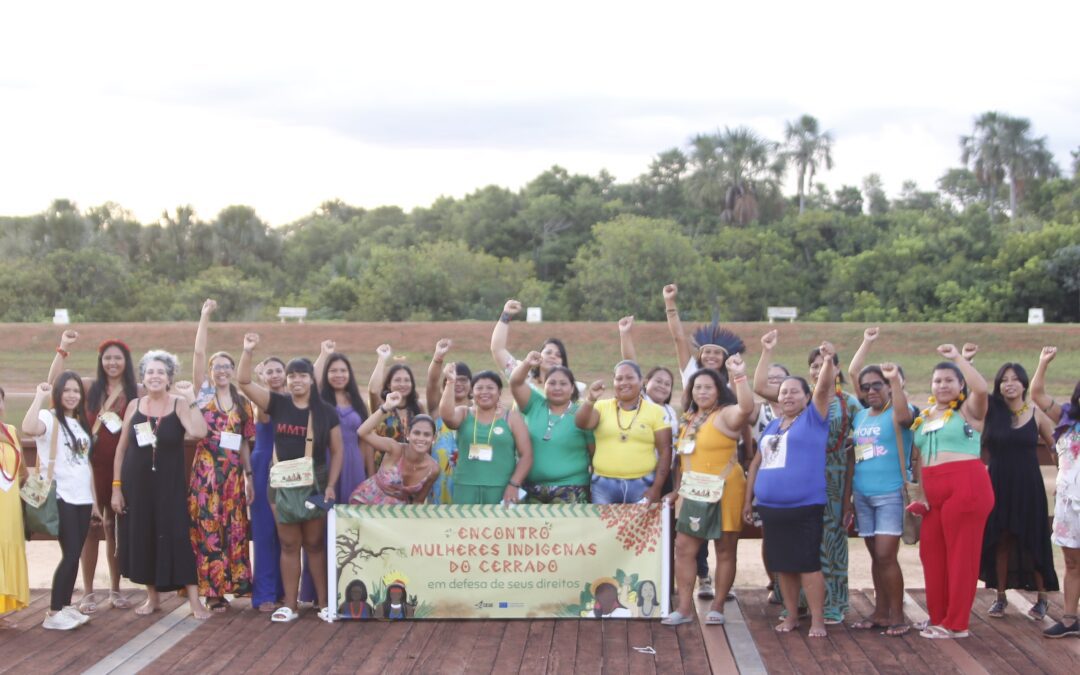 A força e resistência das mulheres indígenas do cerrado