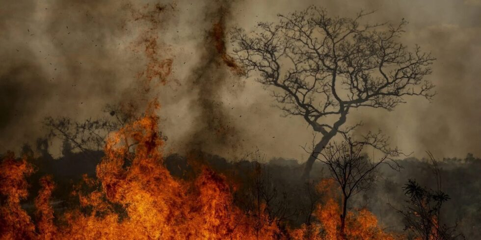 Public Note | Fires in the territories!