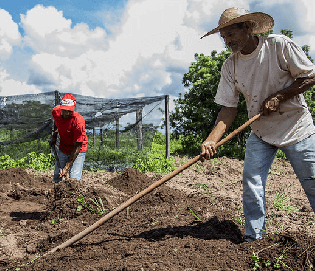 Audiência Temática Soberania Alimentar e Sociobiodiversidade