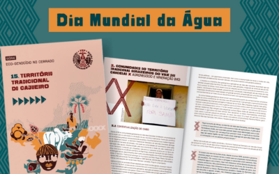 CAMPANHA EM DEFESA DO CERRADO LANÇA 15 FASCÍCULOS COM HISTÓRIAS DE POVOS E COMUNIDADES DO CERRADO