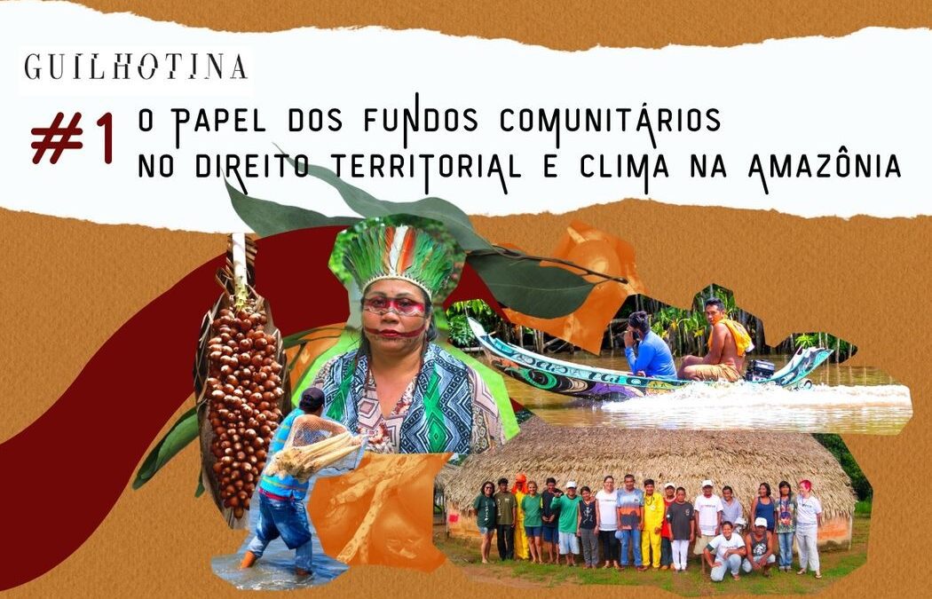 No Dia da Amazônia, CESE lança, em parceria com Le Monde Diplomatique Brasil nova série especial sobre direitos territoriais e mudanças climáticas