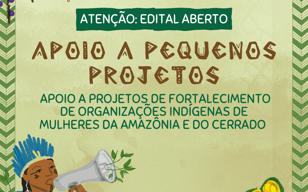  APOIO A PROJETOS DE FORTALECIMENTO DE ORGANIZAÇÕES INDÍGENAS DE MULHERES DA AMAZÔNIA E DO CERRADO