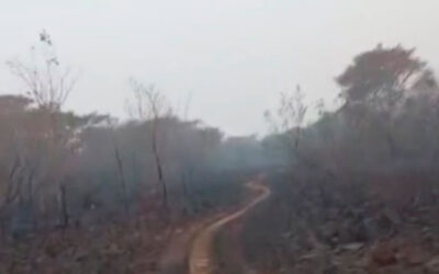Fogo na Amazônia: ’45 dias sem uma estrela no céu’