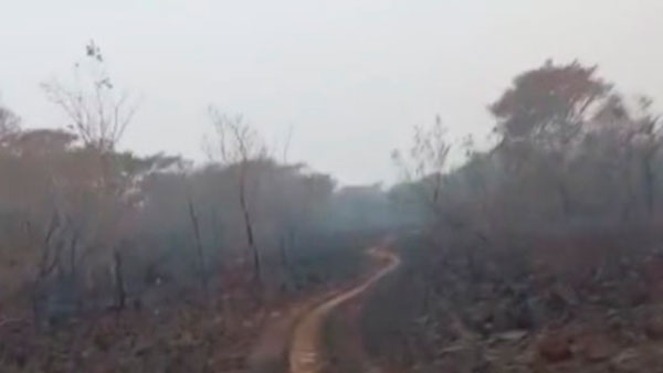 Fogo na Amazônia: ’45 dias sem uma estrela no céu’