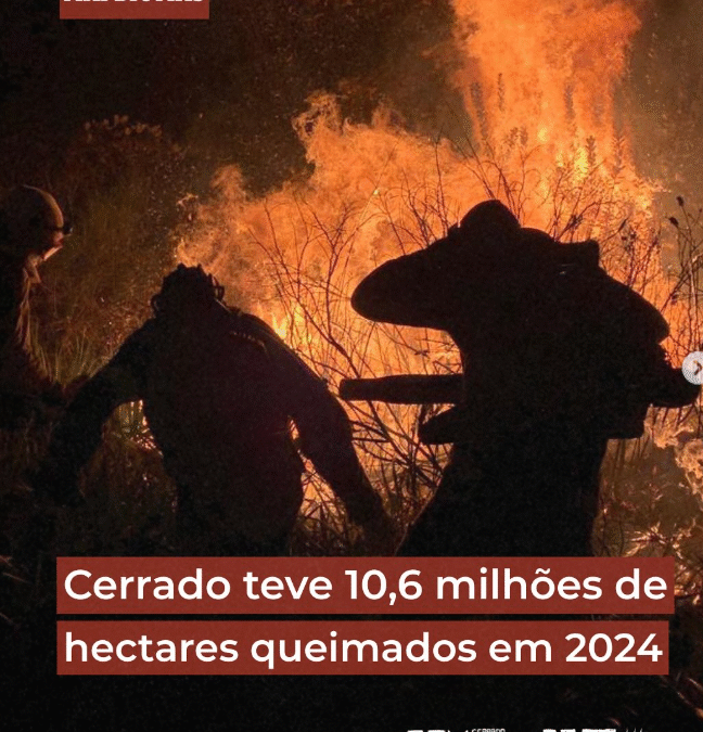 Ameaça à biodiversidade e resiliência do território