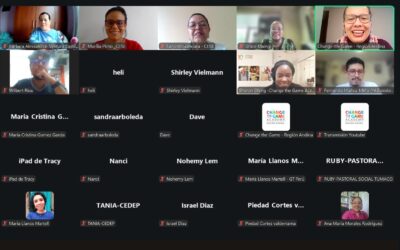 CESE compartilha experiências brasileiras em webinar internacional sobre mobilização de recursos